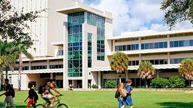 University Of Miami Libraries University Of Miami Libraries